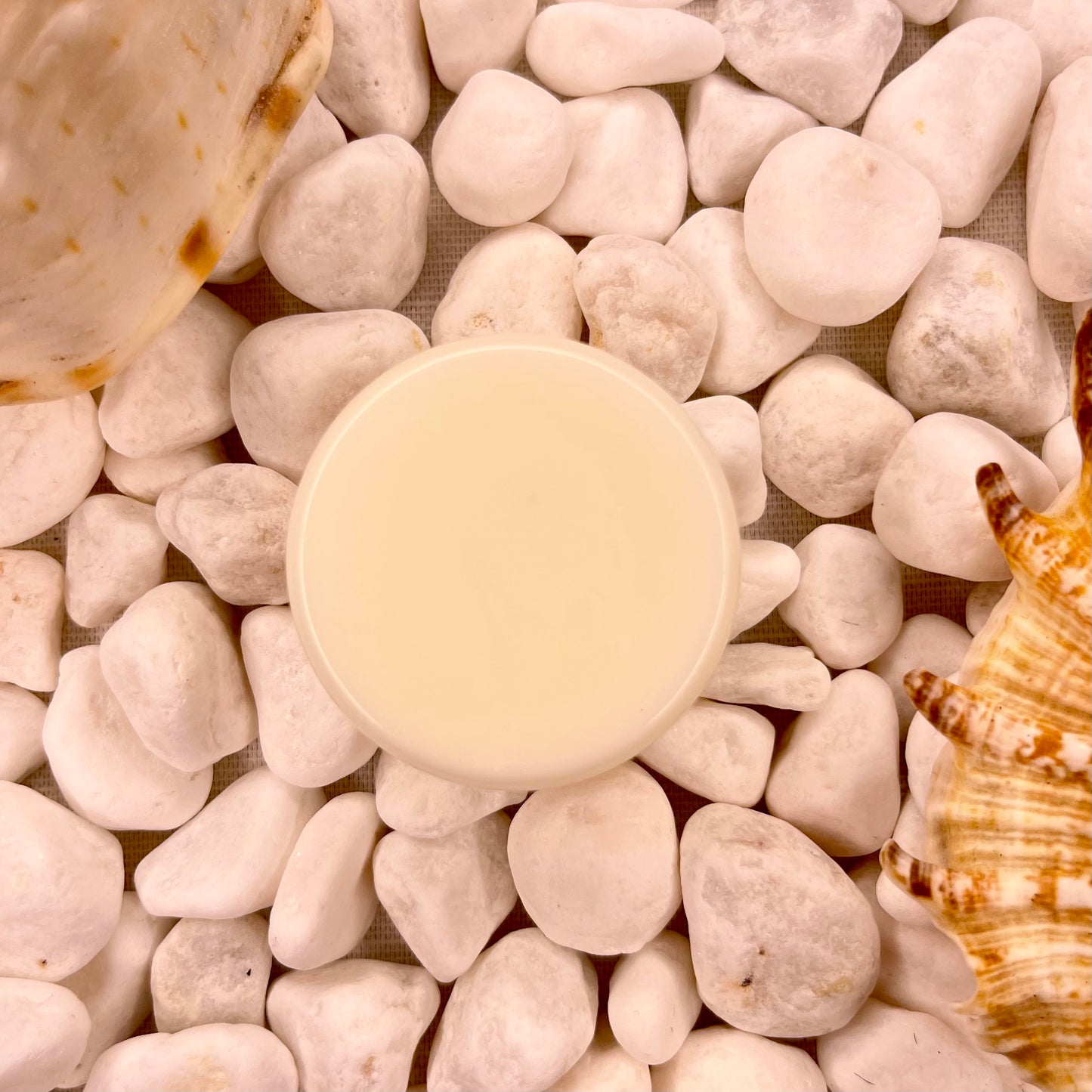 Bougie Biscuit Wax Melts