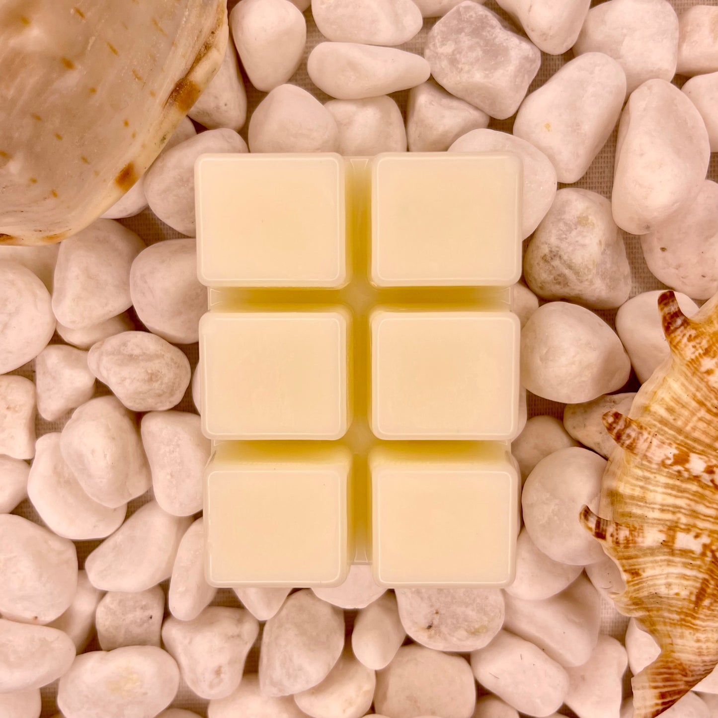 Bougie Biscuit Wax Melts